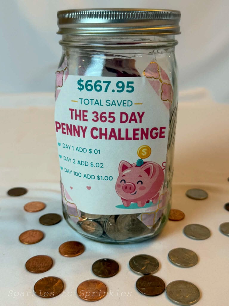 365 day penny challenge