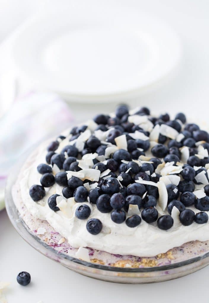 Blueberry-Coconut-Ice-Cream-Pie-3
