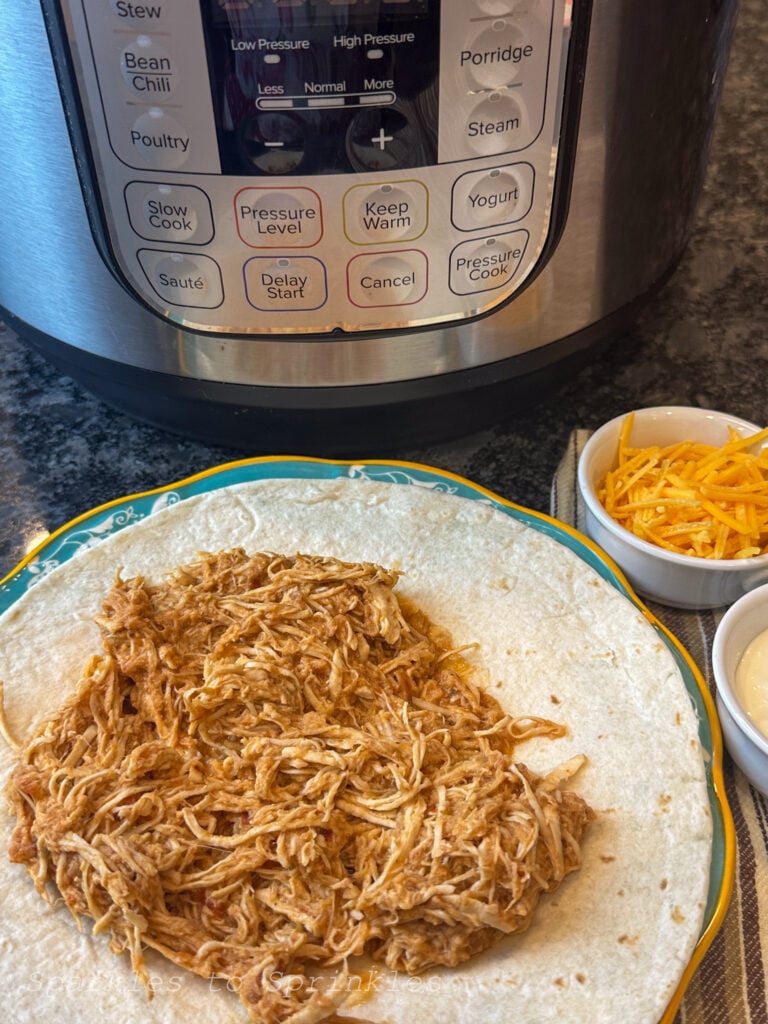 instant pot salsa chicken