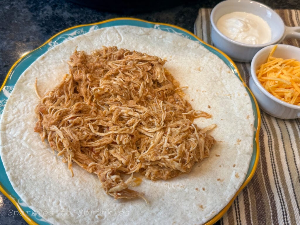 instant pot salsa chicken
