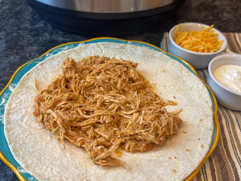 instant pot salsa chicken