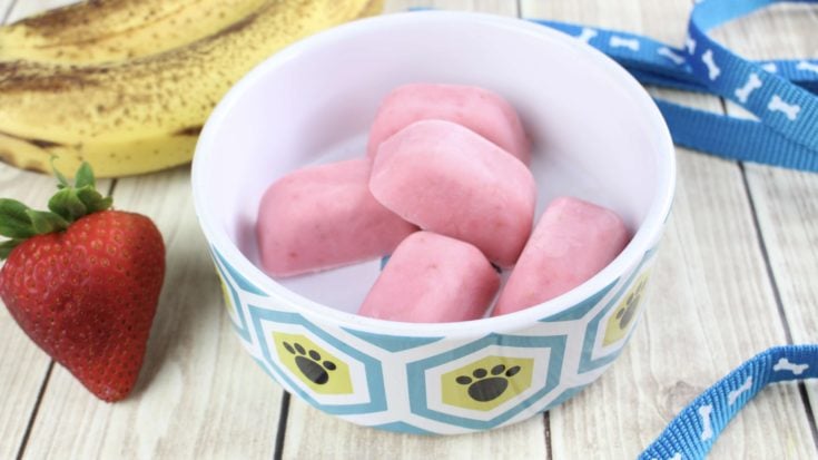 Frozen Yogurt Dog Treats