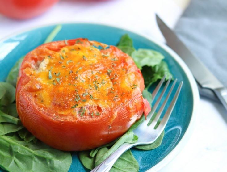 Tuna melt stuffed tomatoes