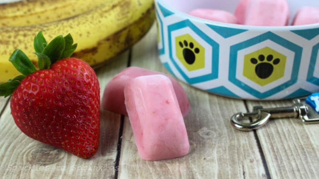 frozen yogurt dog treats
