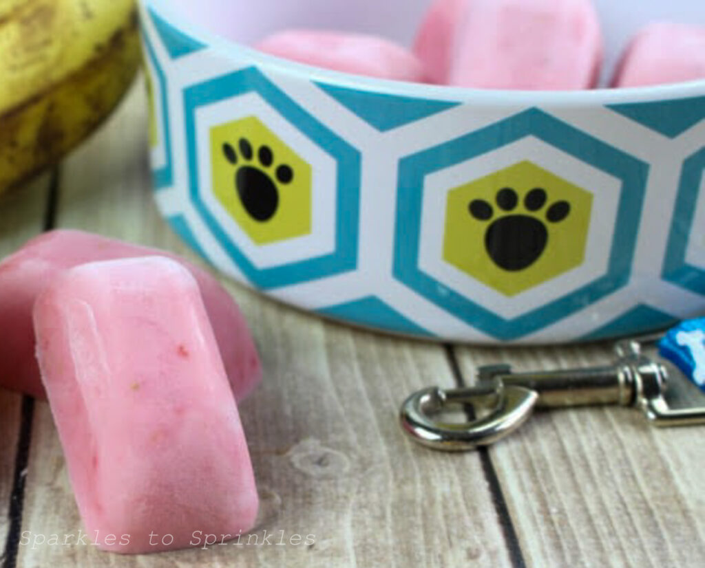 frozen yogurt dog treats