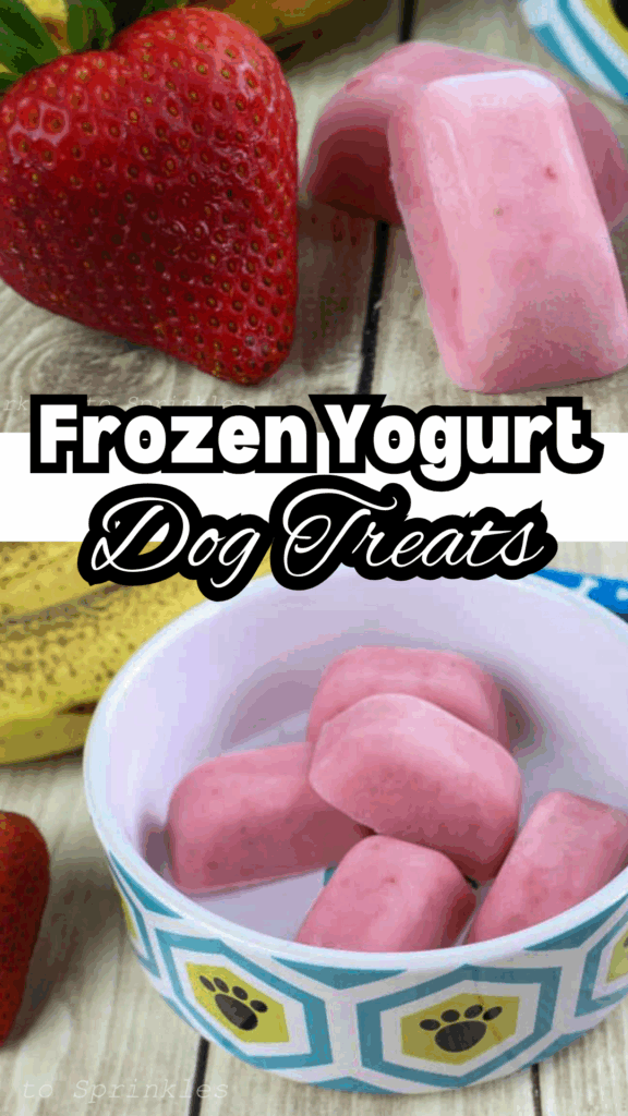 frozen yogurt dog treats long pin