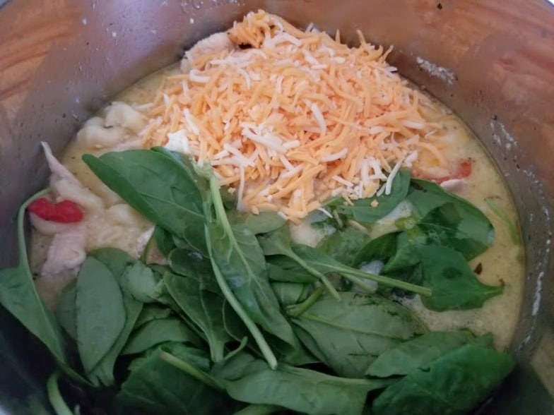 Instant Pot Creamy Italian Chicken Pasta