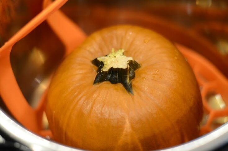 Instant Pot Pumpkin Puree