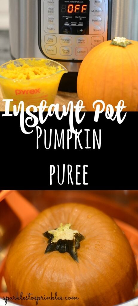 Instant Pot Pumpkin Puree