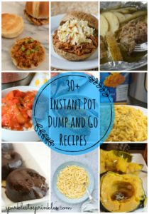 30+ Instant Pot Dump and Go Recipes - Sparkles to Sprinkles