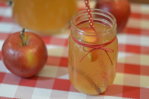 Ninja Foodi or Instant Pot Apple Cinnamon Detox Water