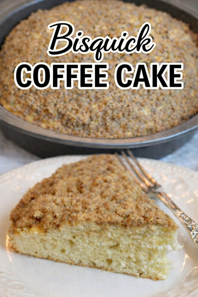 bisquick coffee cake pin new
