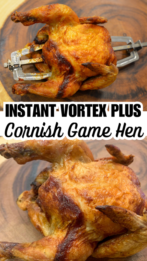 instant vortex plus cornish game hen long pin