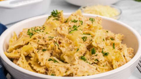 Crockpot Buffalo Wild Wings Garlic Parmesan Chicken Pasta