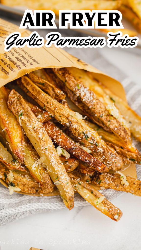 air fryer garlic parmesan fries long pin