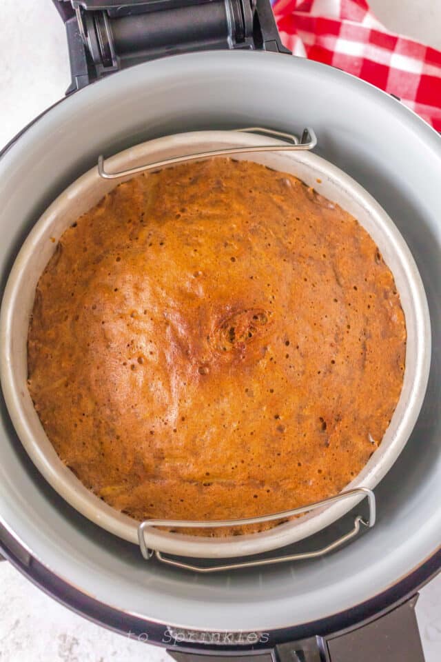 Ninja Foodi Apple Spice Cake Sparkles to Sprinkles