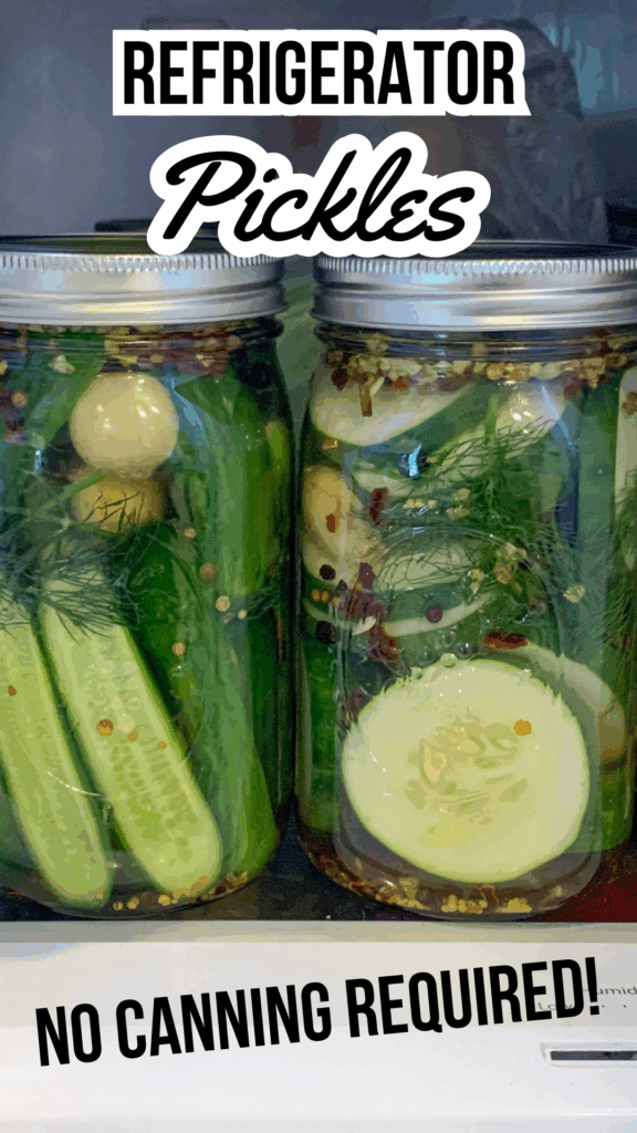refrigerator pickles