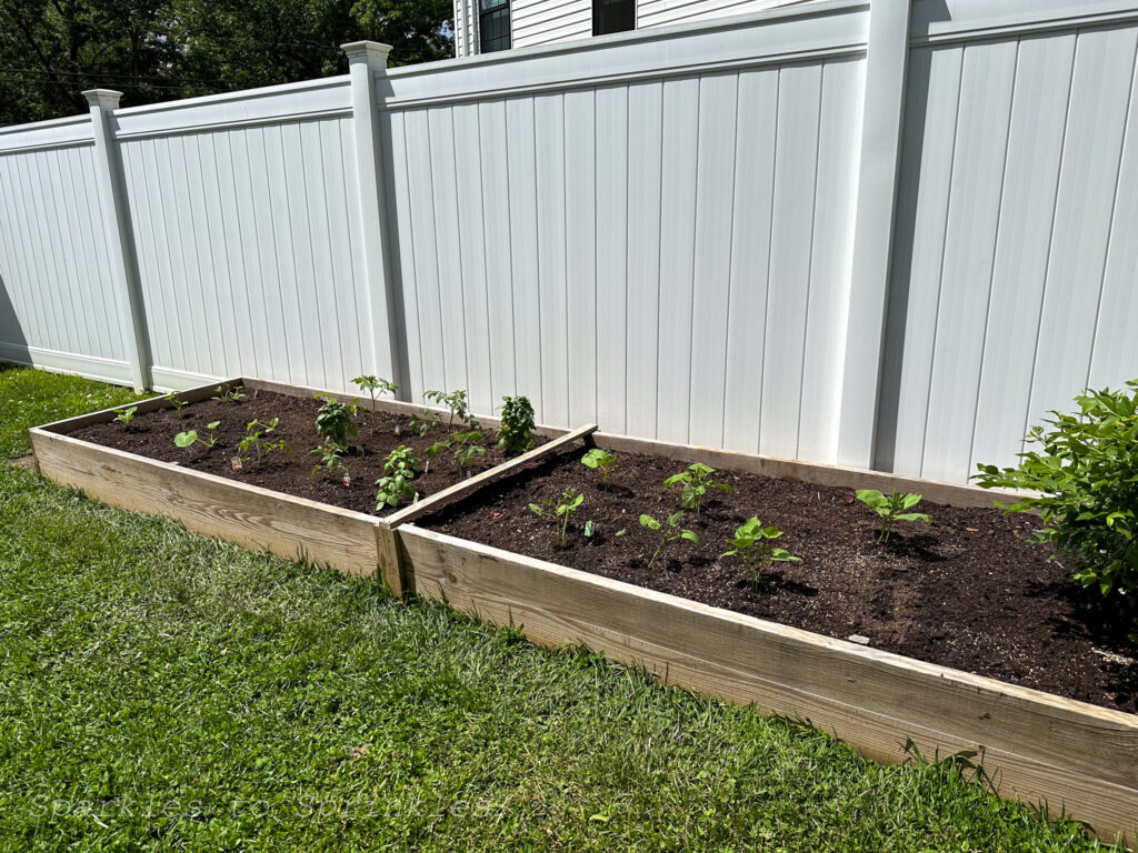 garden beds
