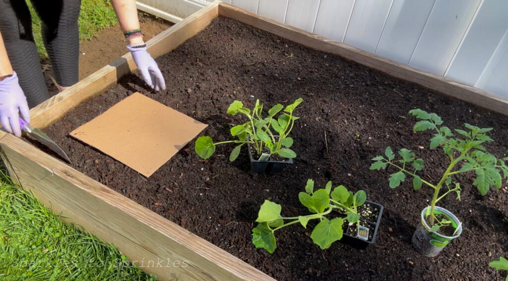 square foot gardening