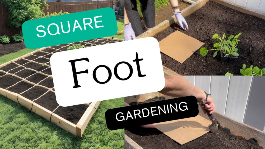 square foot gardening thumbnail