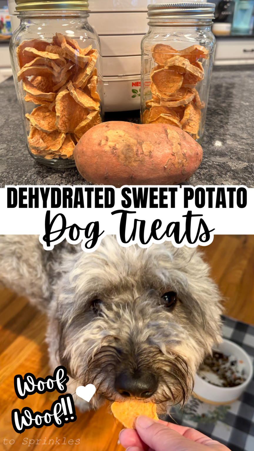 dehydrated-sweet-potato-dog-treats-sparkles-to-sprinkles