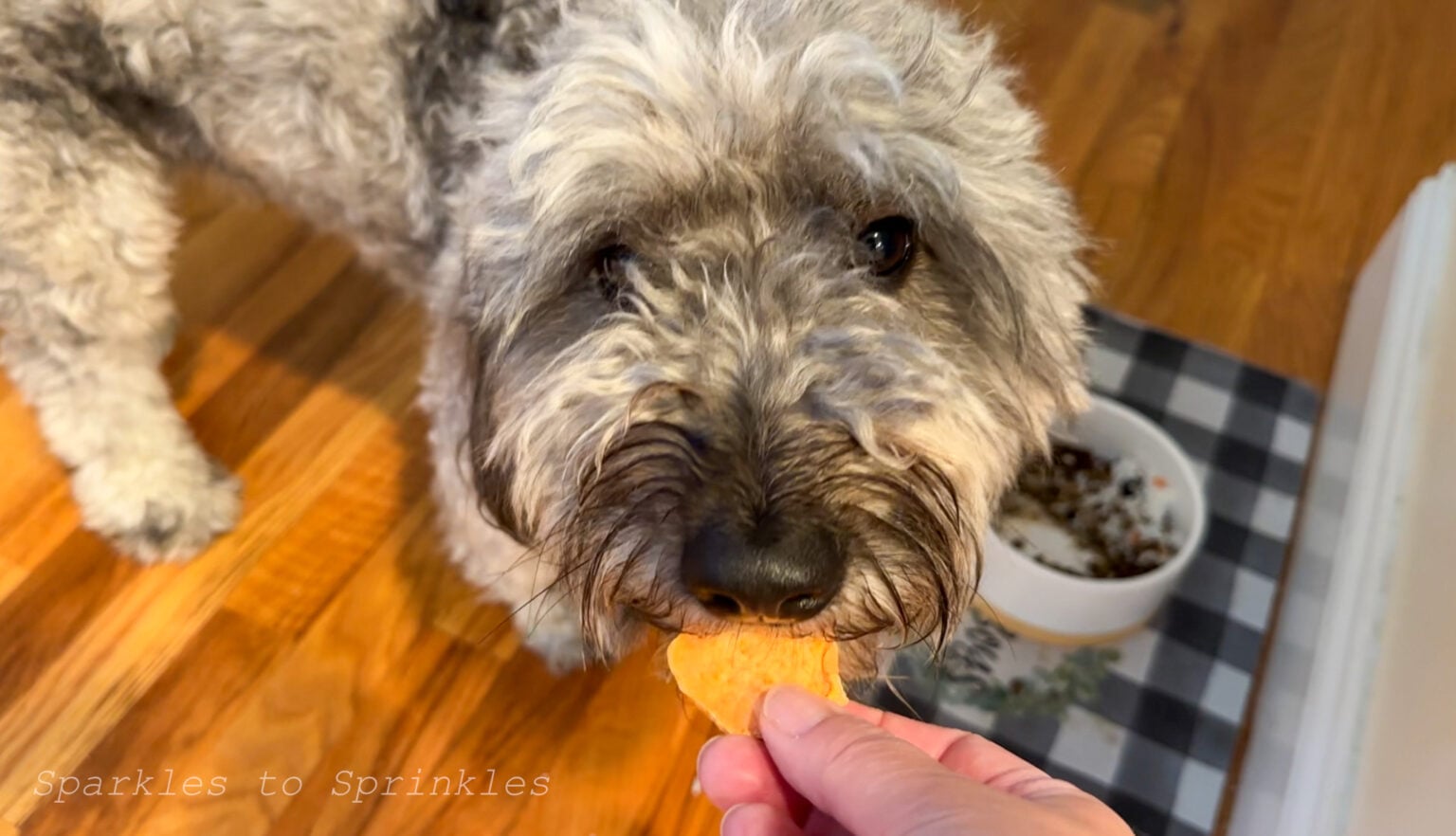 Dehydrated Sweet Potato Dog Treats Sparkles to Sprinkles
