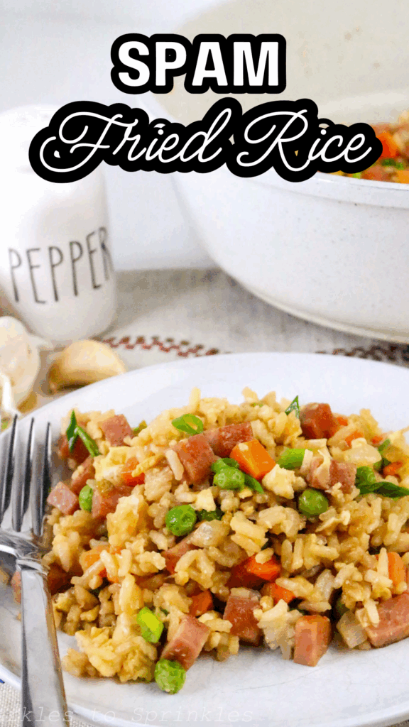 spam fried rice long pin