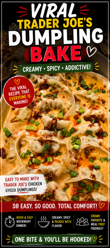 viral trader joes dumpling bake pin new