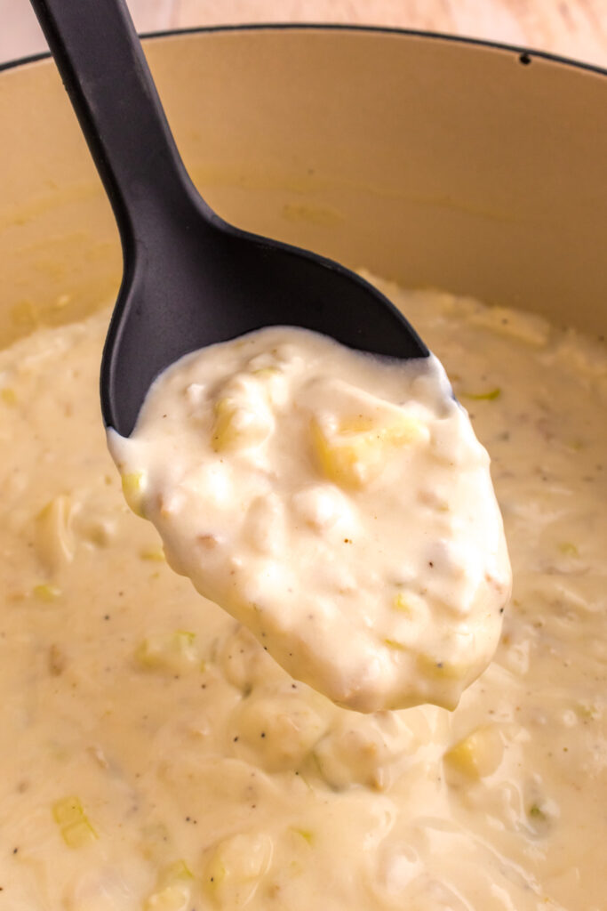 clam chowder