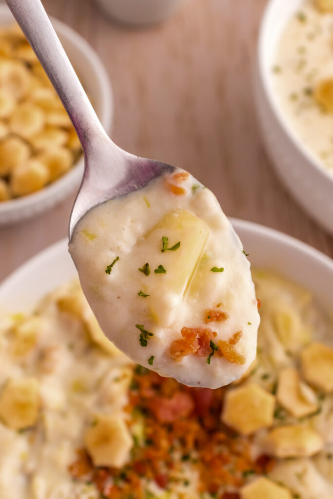 clam chowder