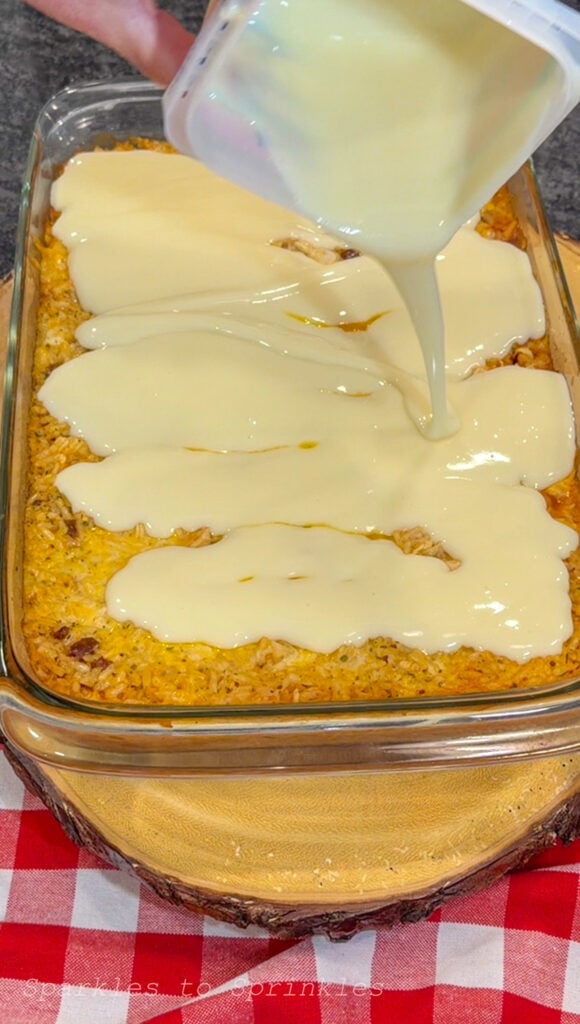swim queso chicken & rice