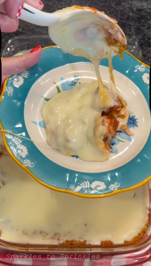 Swim Queso Chicken & Rice
