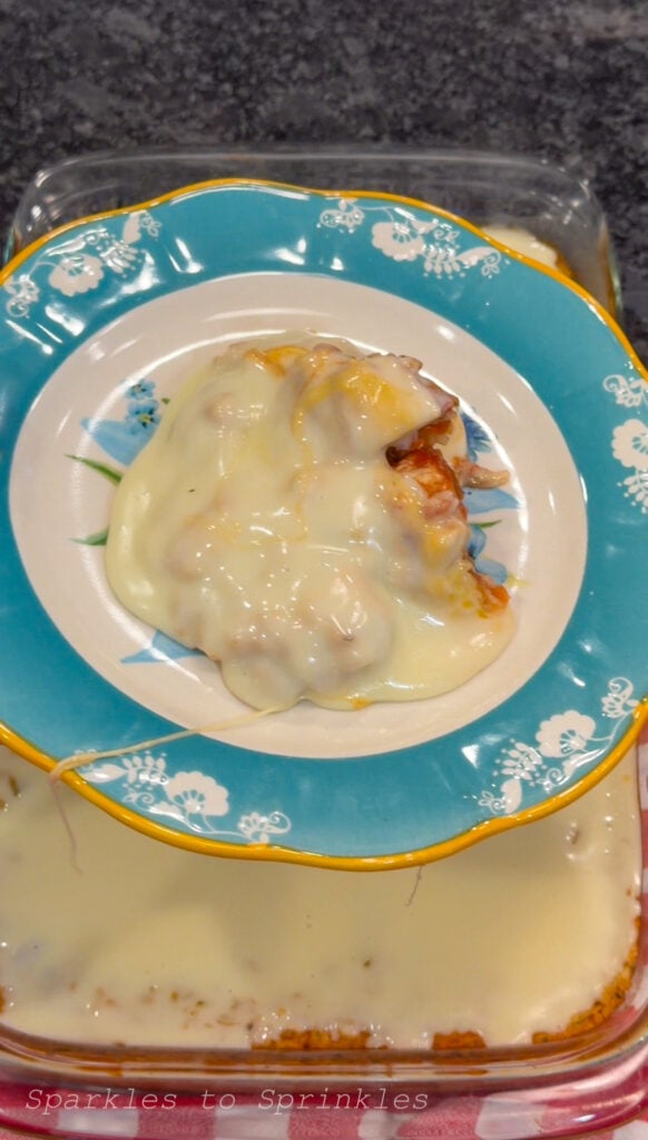 Swim Queso Chicken & Rice