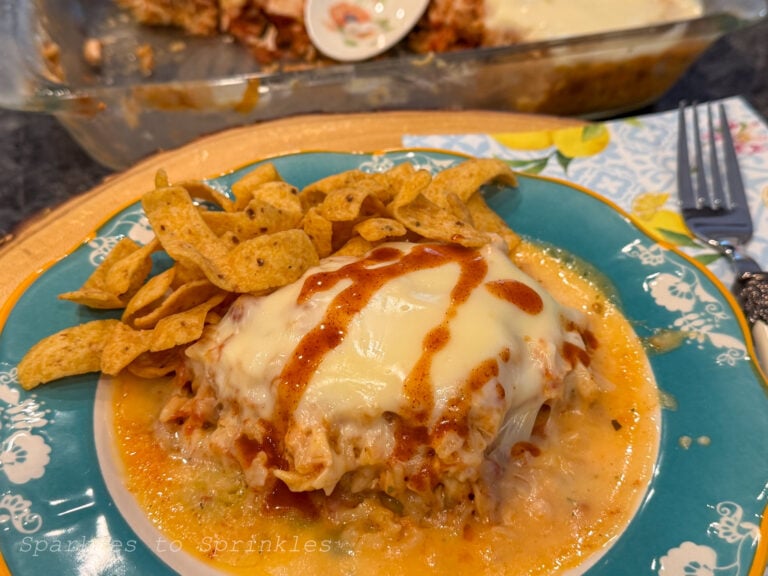 Swim Queso Chicken & Rice 15