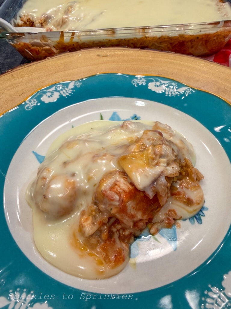 swim queso chicken & rice