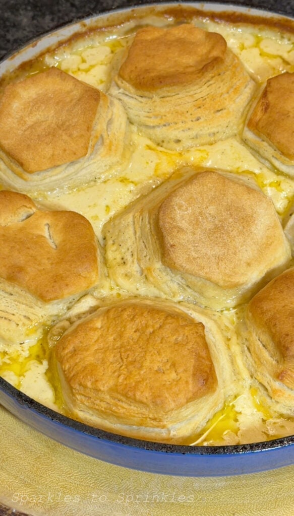 Trader Joe’s 4 Ingredient Chicken Pot Pie 1